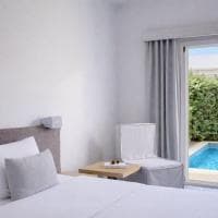 Double Room With Plunge Pool